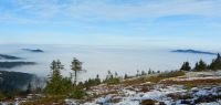 021 l vom arberanstieg_nebelmeer im lamer winkel